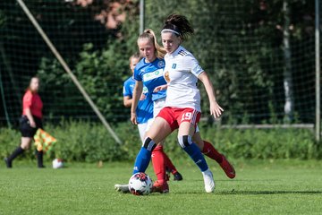 Bild 229 - wBJ Hamburger SV - Holstein Kiel : Ergebnis: 2:0
